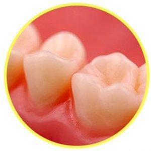 teeth close up image