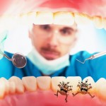 dental plaque