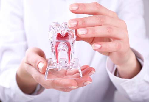 Emergency Dentist Bossier City LA