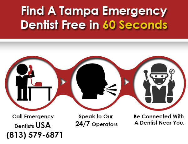 Dentist Tampa No Insurance  . Our Pediatric Dentist In Tampa, Fl, Can Help Your Child Create A Healthier Smile.
