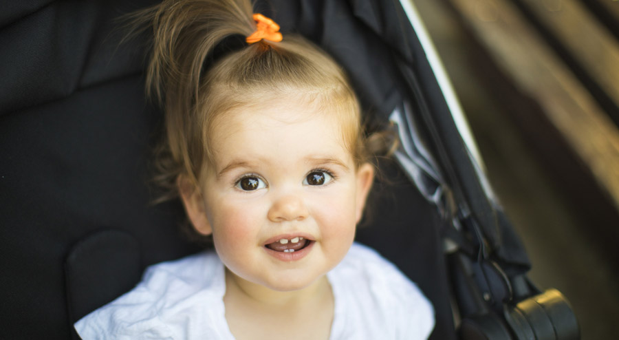 Tooth Buds and Early Teeth Development