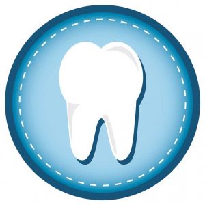 Tooth Enamel