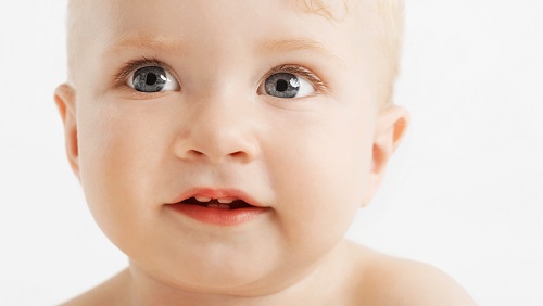 baby teeth image