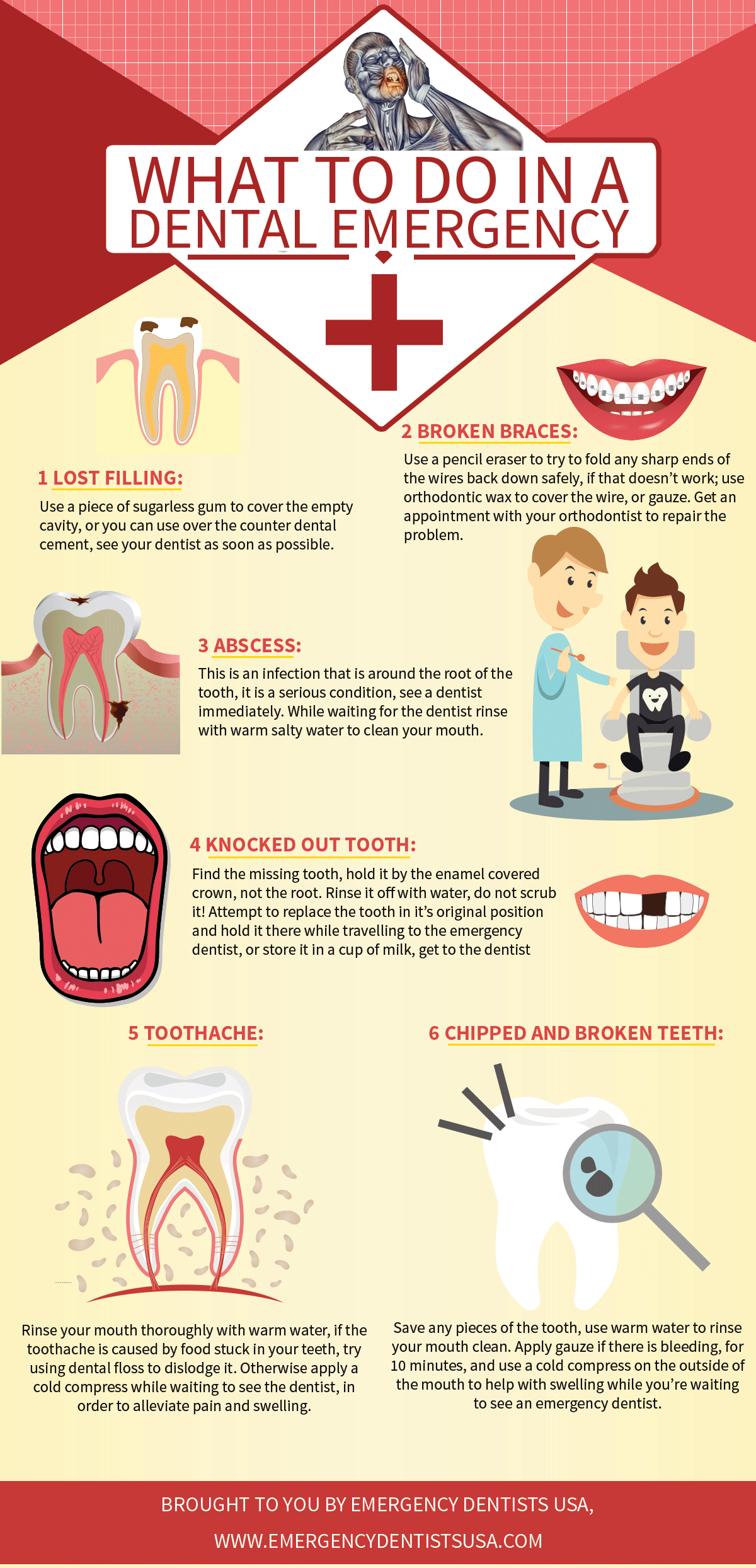 emergency dentist infographic