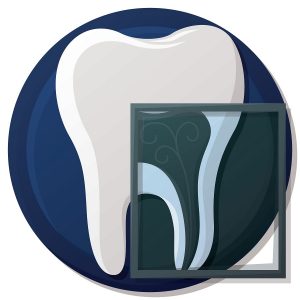 tooth x-ray image