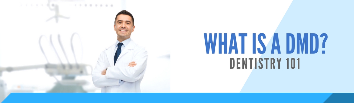 what is dmd dentist